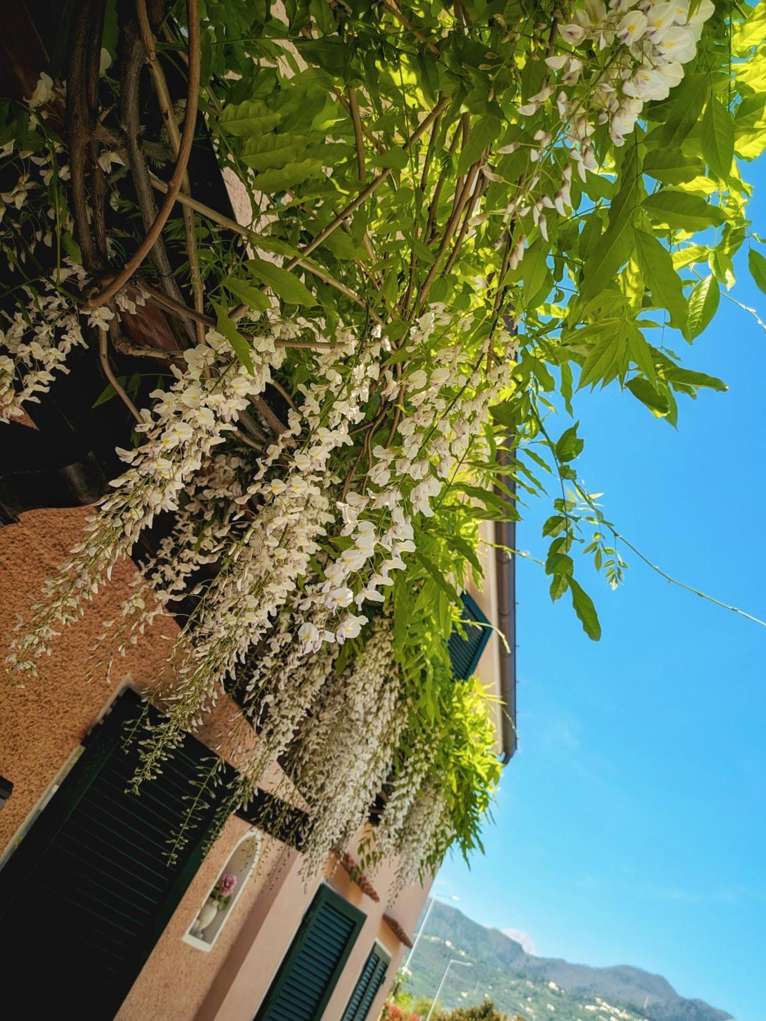 ピエトラサンタ La Bugneta Bed & Breakfast エクステリア 写真